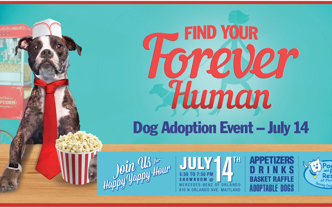 Dog Rescue Photo Illustration and Banner Design Popcorn