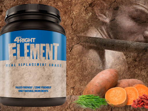 Meal Replacement Paleo Protein Shake Packaging Design